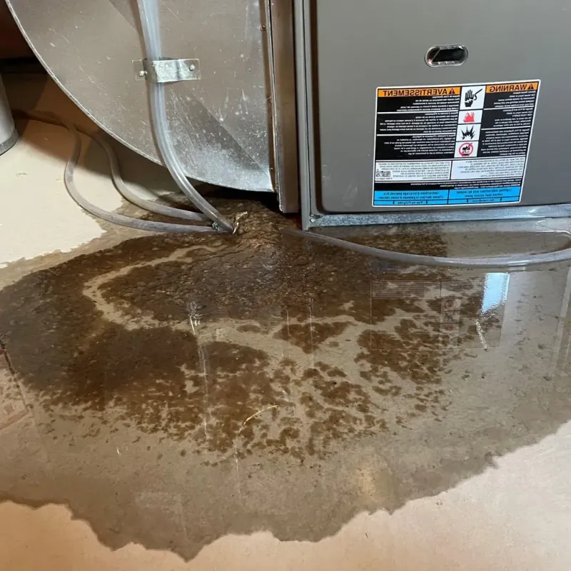 Pipe Burst and Leak Restoration in Antelope Valley-Crestview, WY