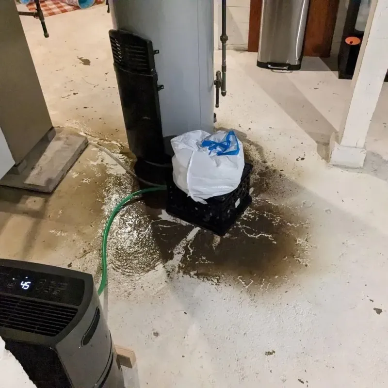 Sewage Backup Cleanup Service in Antelope Valley-Crestview, WY